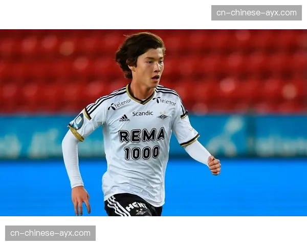 深度报道：WNBA球探网络揭秘——他们如何在全球寻找下一个天才