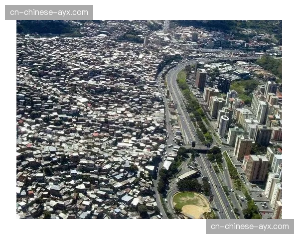 “足球进校园”项目在巴西贫民社区取得显著成效，犯罪率同期下降